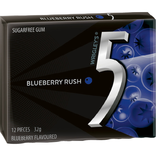 5 Gum Blueberry Sugar-Free Chewing Gum 32g x 10